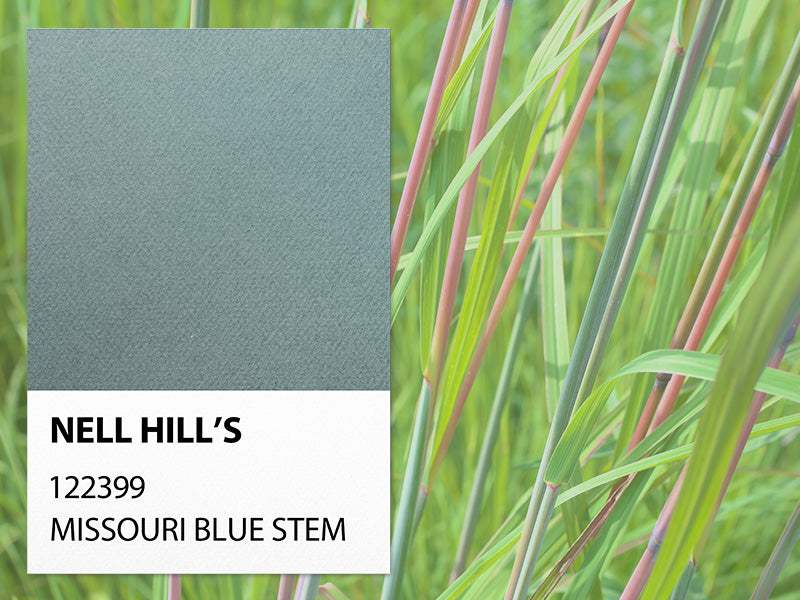 Nell Hill’s Paint Line: Missouri Bluestem