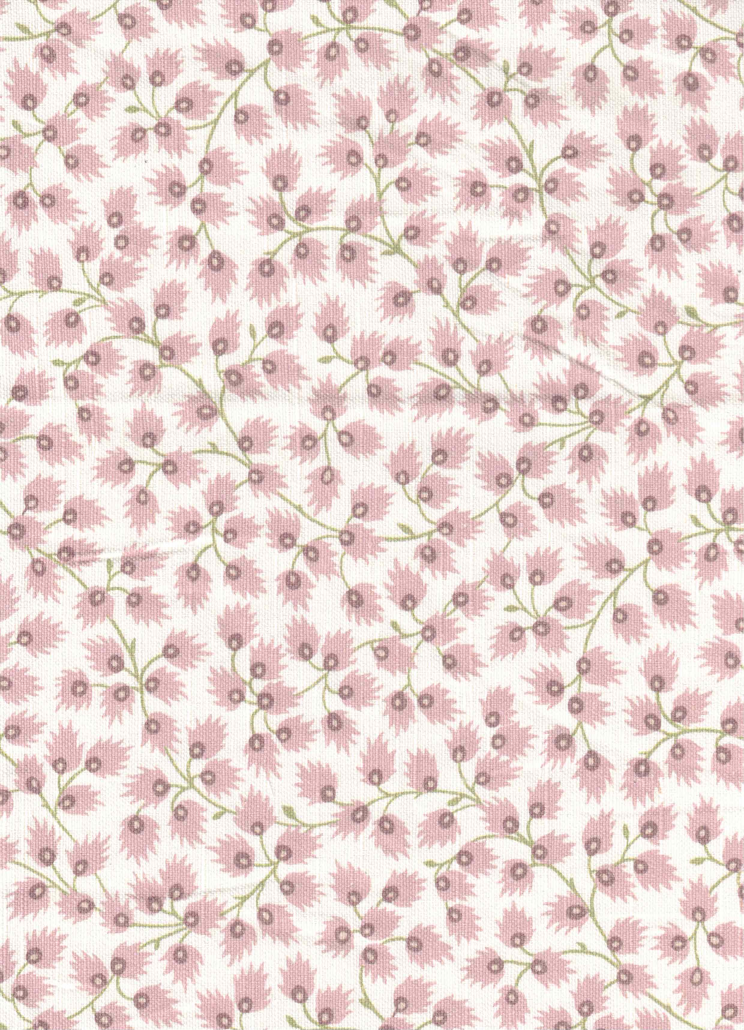 Floral/Botanical
