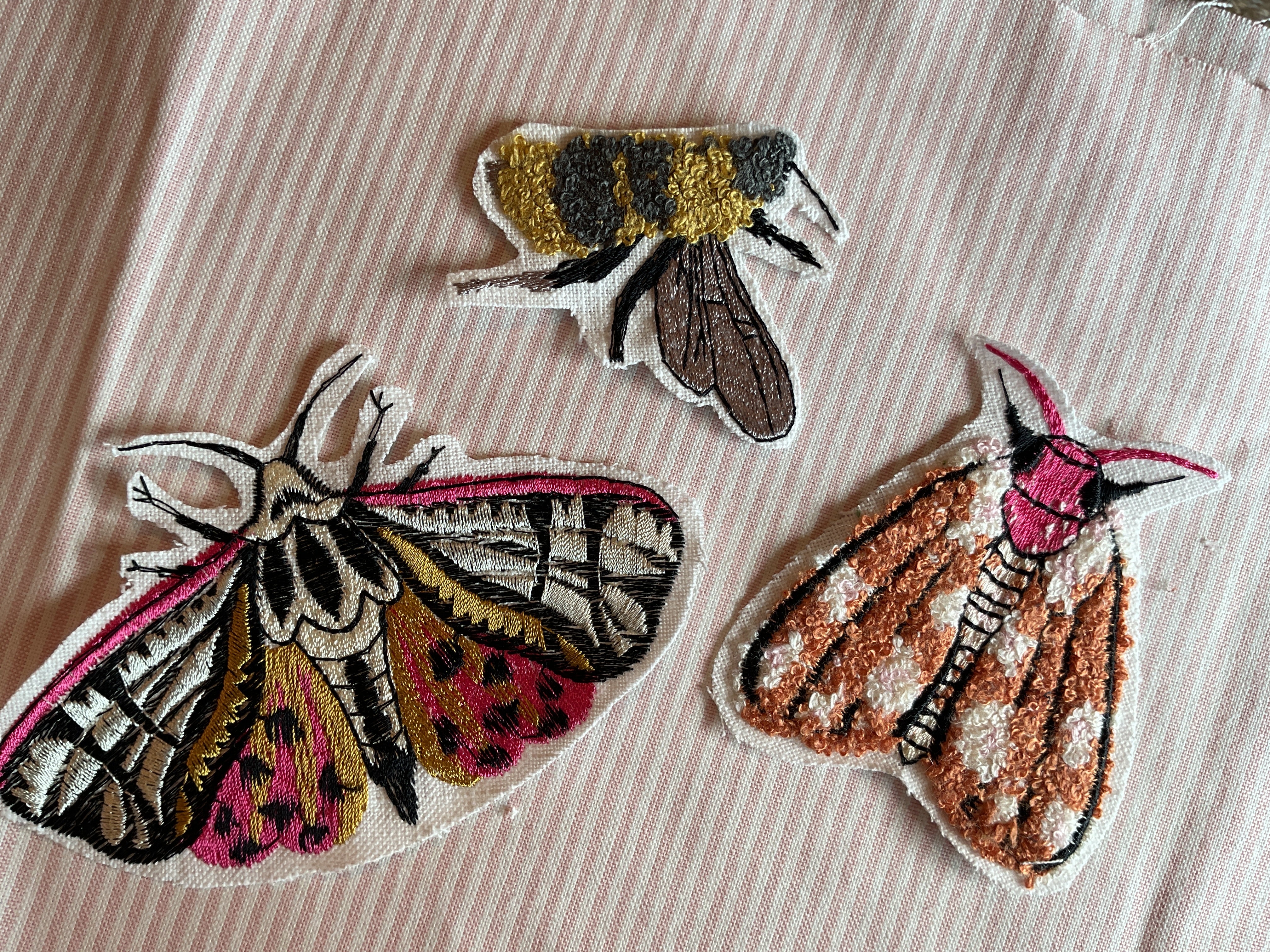 Animals & Insects
