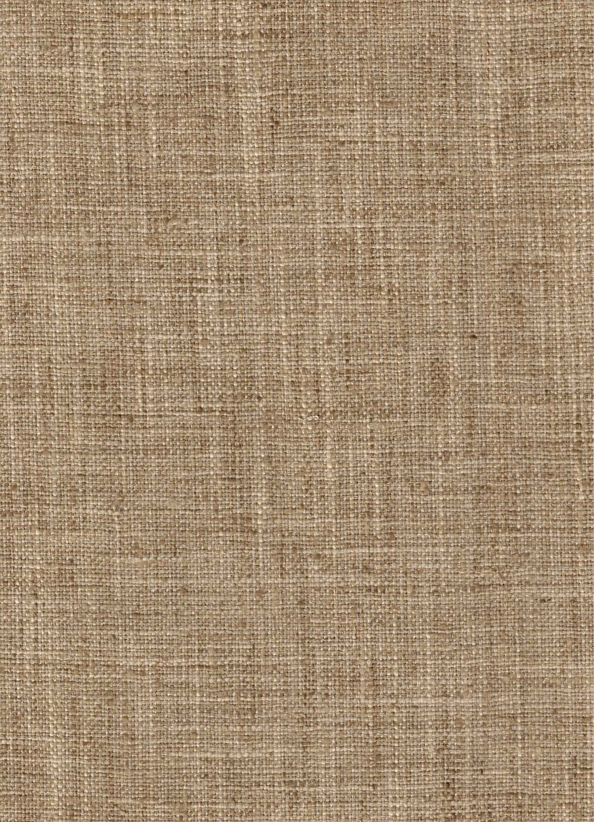 Graham Crackers Fabric by the Yard | Nell Hill's