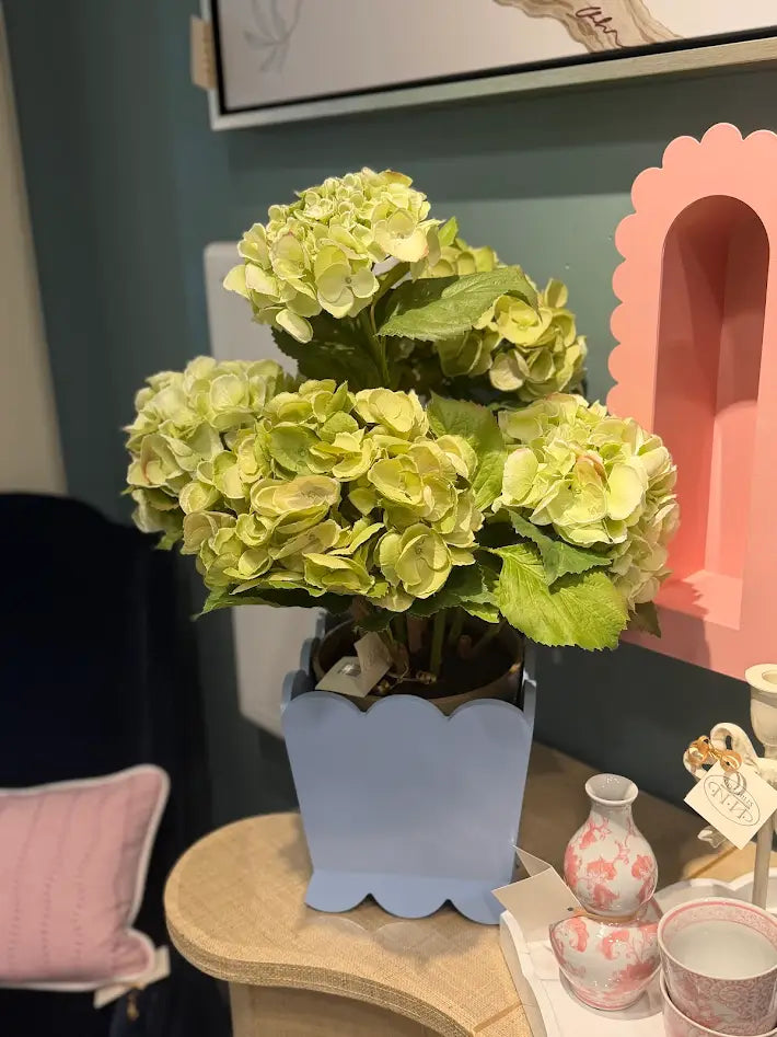 PINK SCALLOPED PLANTER