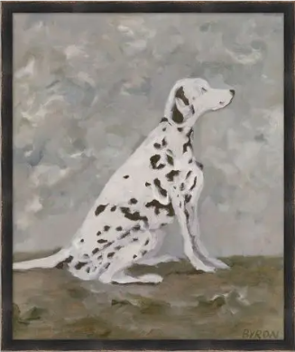 Dalmation Sitting