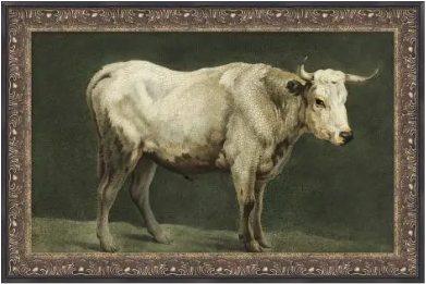 Cattle Study