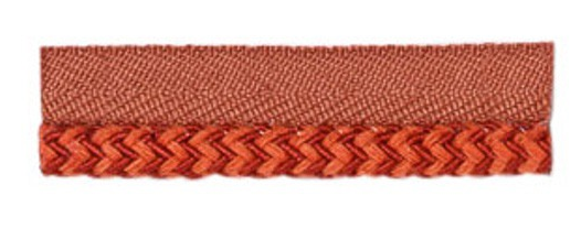 ZN310 Lipcord Trim by the Yard