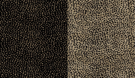 State Line Fabric by the Yard