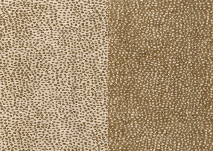State Line Fabric by the Yard