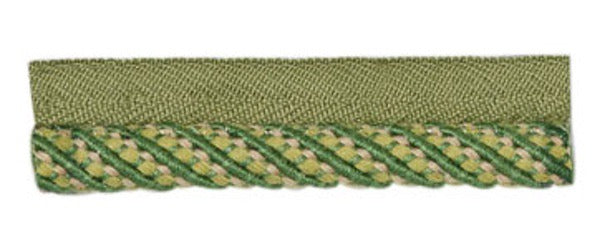 ZN300 Multi Lipcord Trim by the Yard