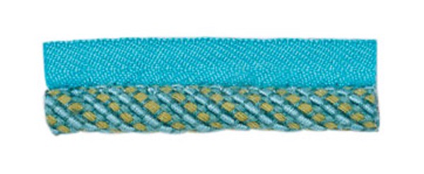 ZN300 Multi Lipcord Trim by the Yard