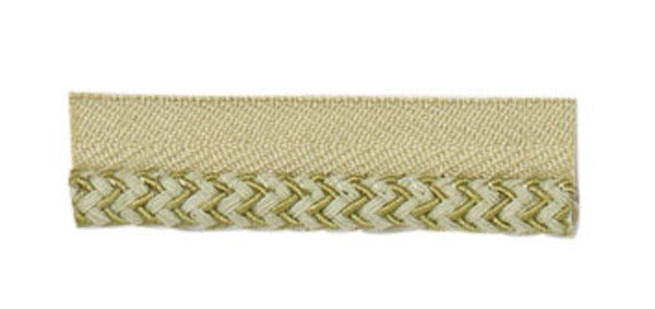 ZN310 Lipcord Trim by the Yard