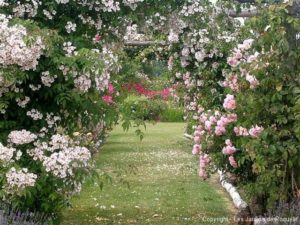 My New Crush: Perfectly Imperfect Gardens in France - Nell Hills