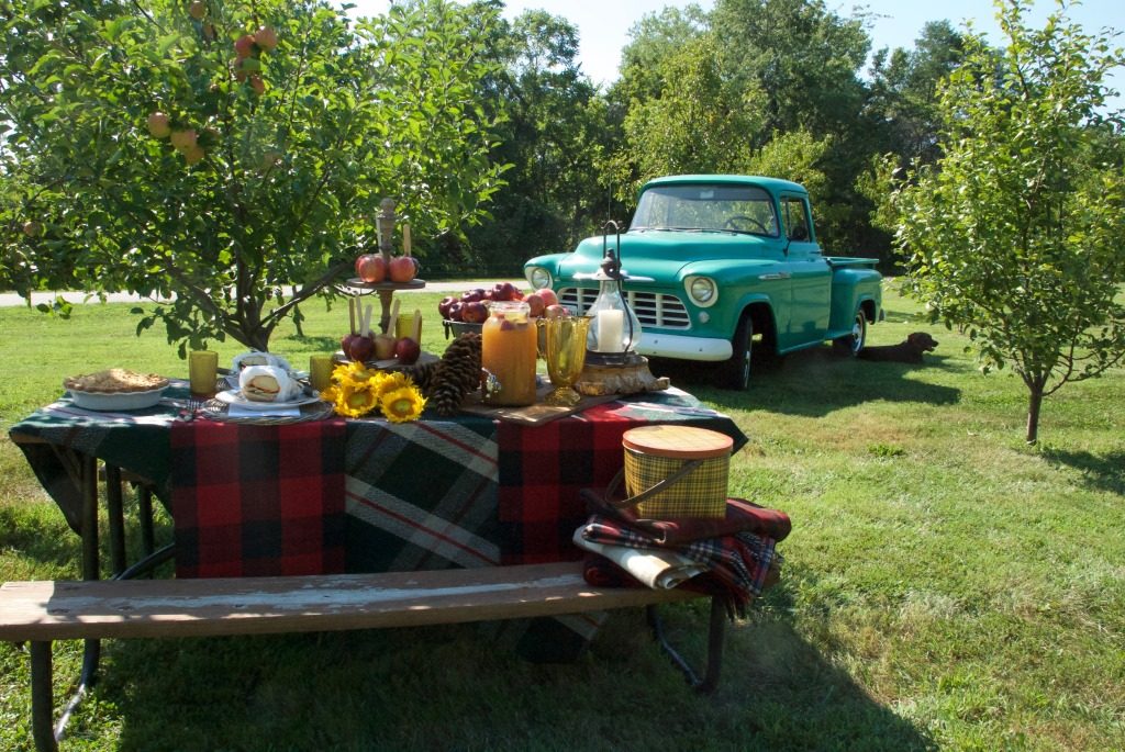It was a perfect day for a fall picnic in the orchard. 